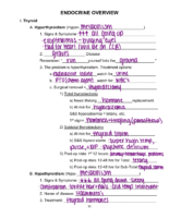 16. Endocrine Overview-Questions And Answers For Nclex