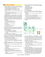 Fundamental Questions Chapter 038-Nclex Fundamentals 2024-2025